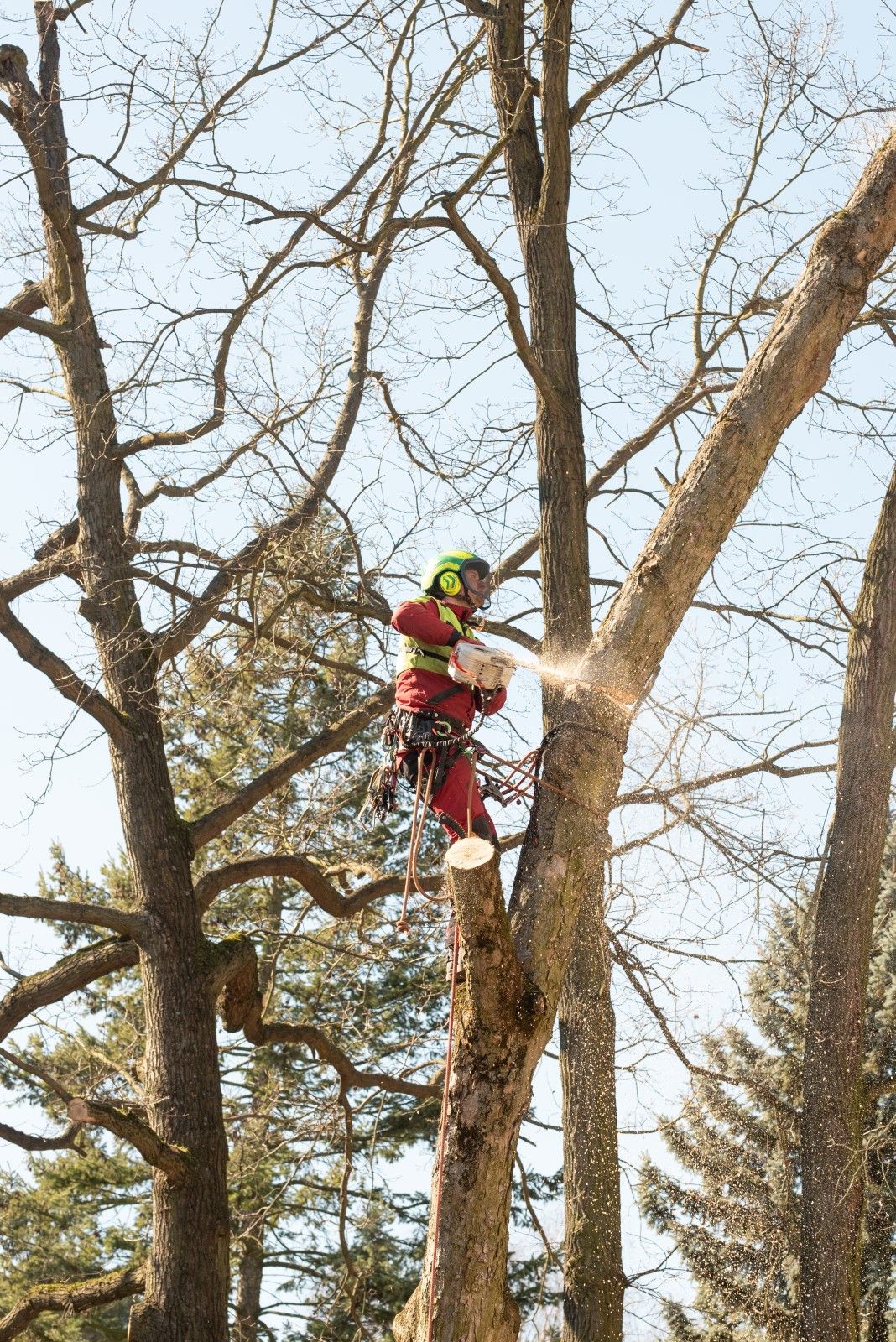 Bezpečné kácení stromů v <strong>extrémních</strong> podmínkách a zástavbě